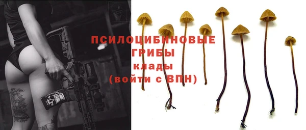 мдма Бородино
