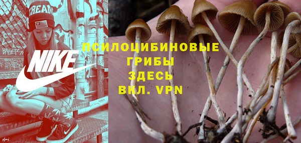 мдма Бородино