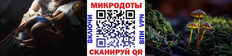 ссылка на мегу как войти  Энгельс  Псилоцибиновые грибы Cubensis 