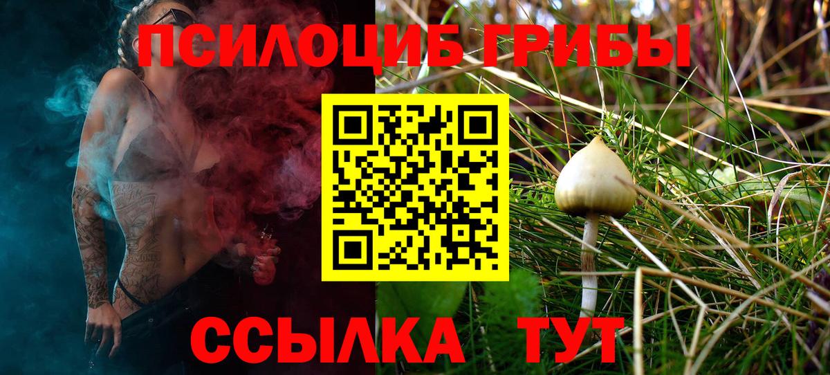 Галлюциногенные грибы Psilocybine cubensis Энгельс