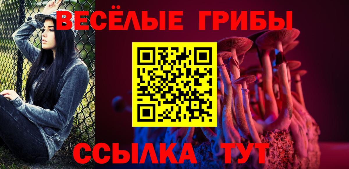 Энгельс  даркнет сайт  Вход с VPN  Псилоцибиновые грибы GOLDEN TEACHER 